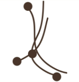 Point Acupressure Logo